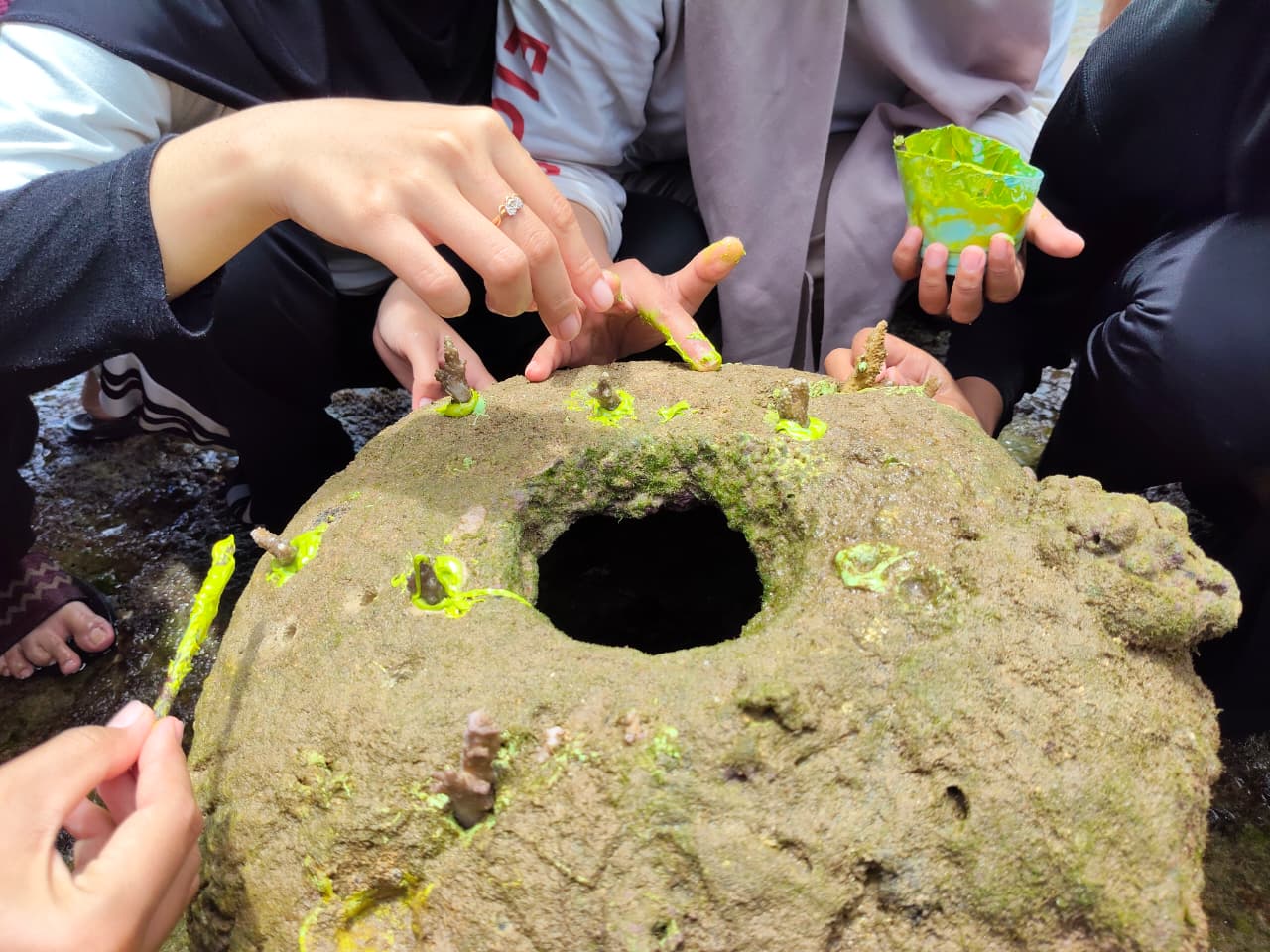 20251118 UIN SATU Gandeng Sahabat Alam Indonesia Dorong Mahasiswa Jadi Garda Depan Penyelamatan Laut 3