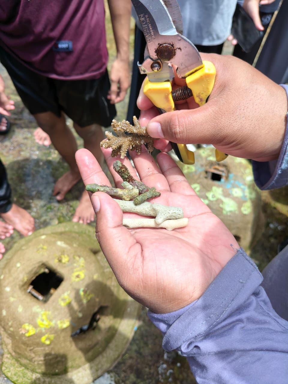 20251118 UIN SATU Gandeng Sahabat Alam Indonesia Dorong Mahasiswa Jadi Garda Depan Penyelamatan Laut 4