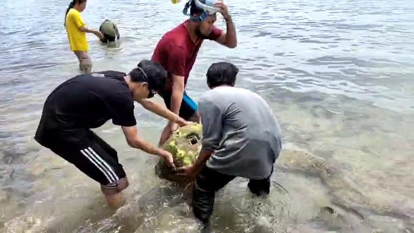 UIN SATU Gandeng Sahabat Alam Indonesia, Dorong Mahasiswa Jadi Garda Depan Penyelamatan Laut